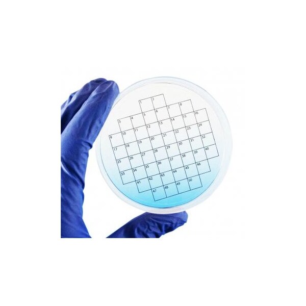 Petri Stickers, 50 Sq Grid, 3" Dia, 36/pk, 36PK